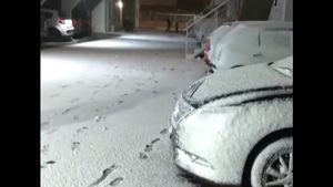 Un alt fenomen meteo extrem! Furtuni de zăpadă în Brazilia. „Am 62 de ani și nu am văzut așa ceva niciodată"