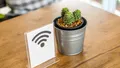 Obiectele din casă care îți încetinesc netul. Cum repari semnalul Wi-Fi