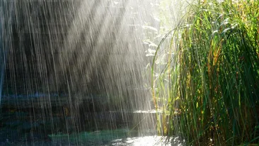 METEO 30 APRILIE: Ploile nu ne lasă. Află unde vor mai cădea precipitaţi astăzi 