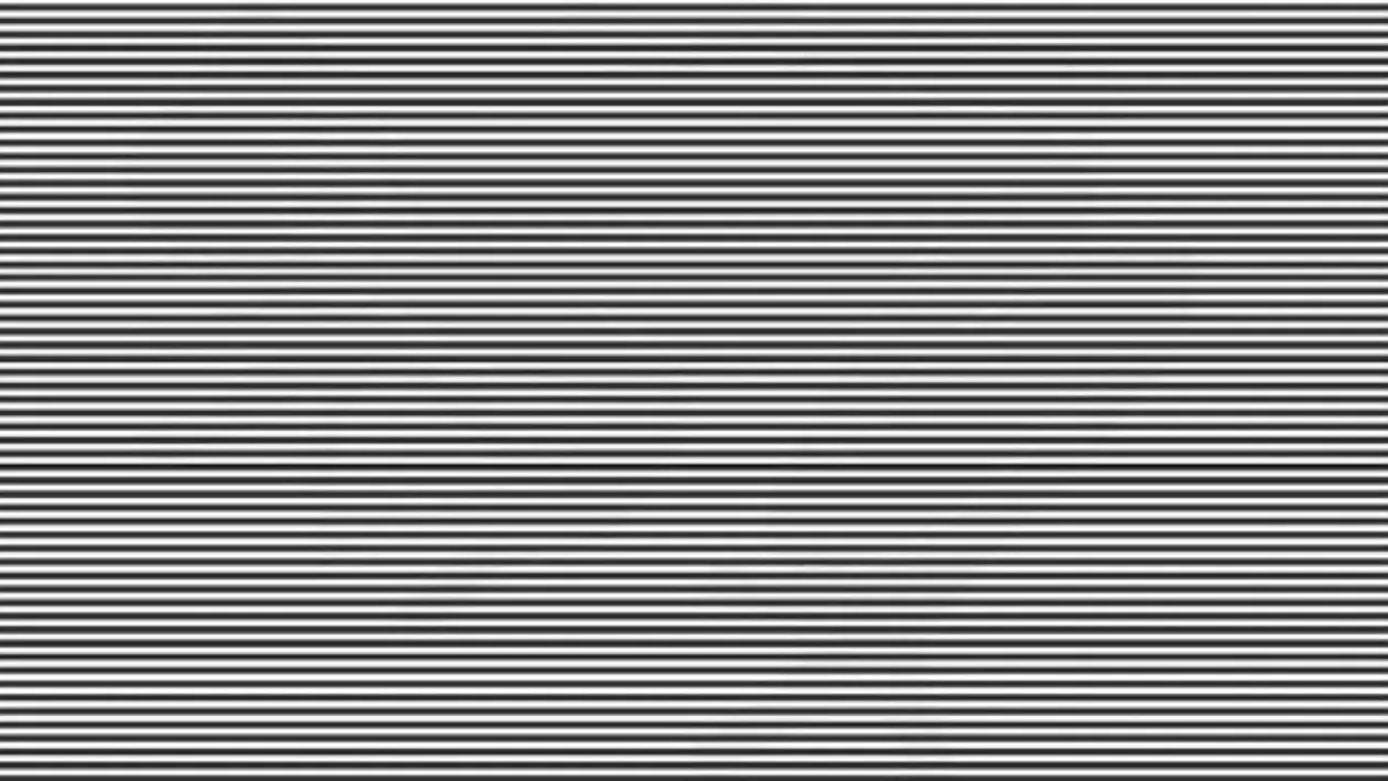 Iluzia optică ce îţi testează IQ-ul | Găseşte animalul ascuns din imagine în doar 11 secunde şi poţi spune că eşti un geniu