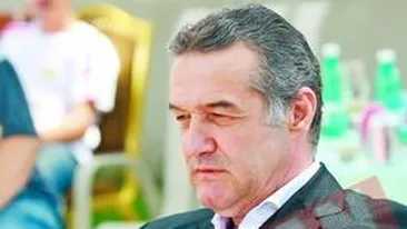 Cer falimentul firmei lui Gigi Becali!