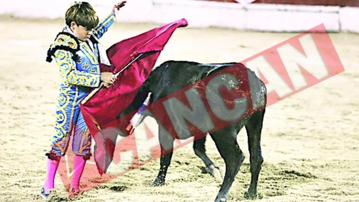 Toreador la zece ani