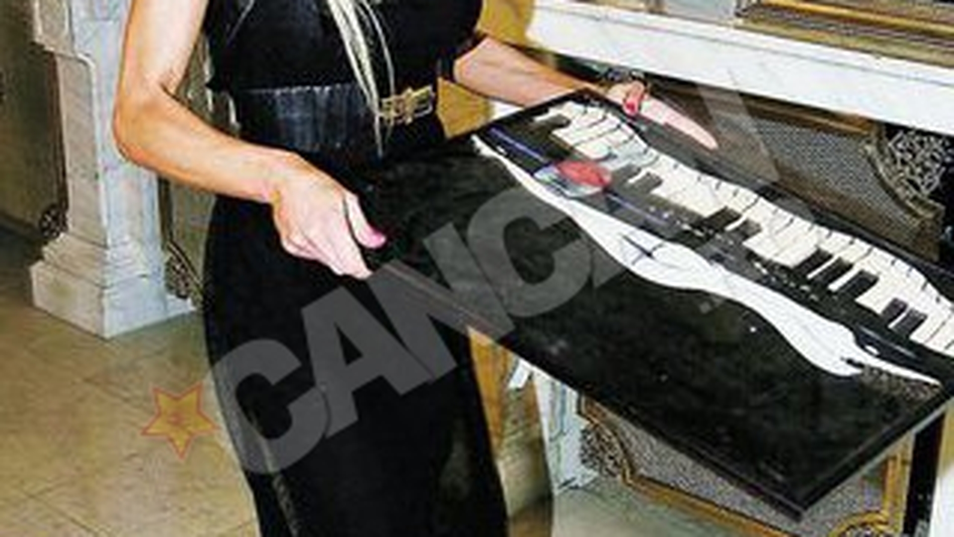 "Pictorita din Parlament" a fost maritata cu un controversat om de afaceri constantean. S-a "tunat" pe banii lui Stelian "Grasutu'"