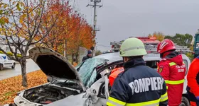 Galerie foto - poza 1