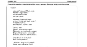 Galerie foto - poza 4