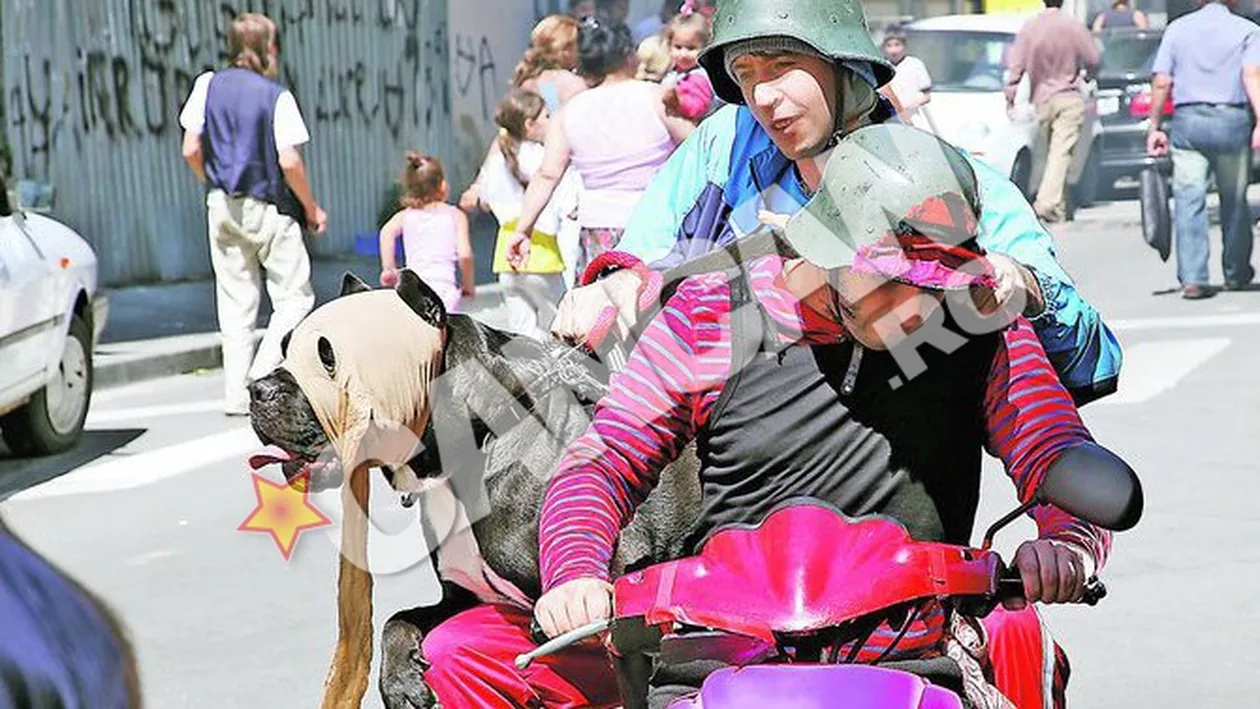 Mini a primit un rol mai important decat artistul in filmul S-a furat mireasa. Catelul lui Varciu, mai vedeta decat stapanul