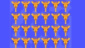 Test de logică | Care dintre cele 24 de girafe este diferită de celelalte 23?