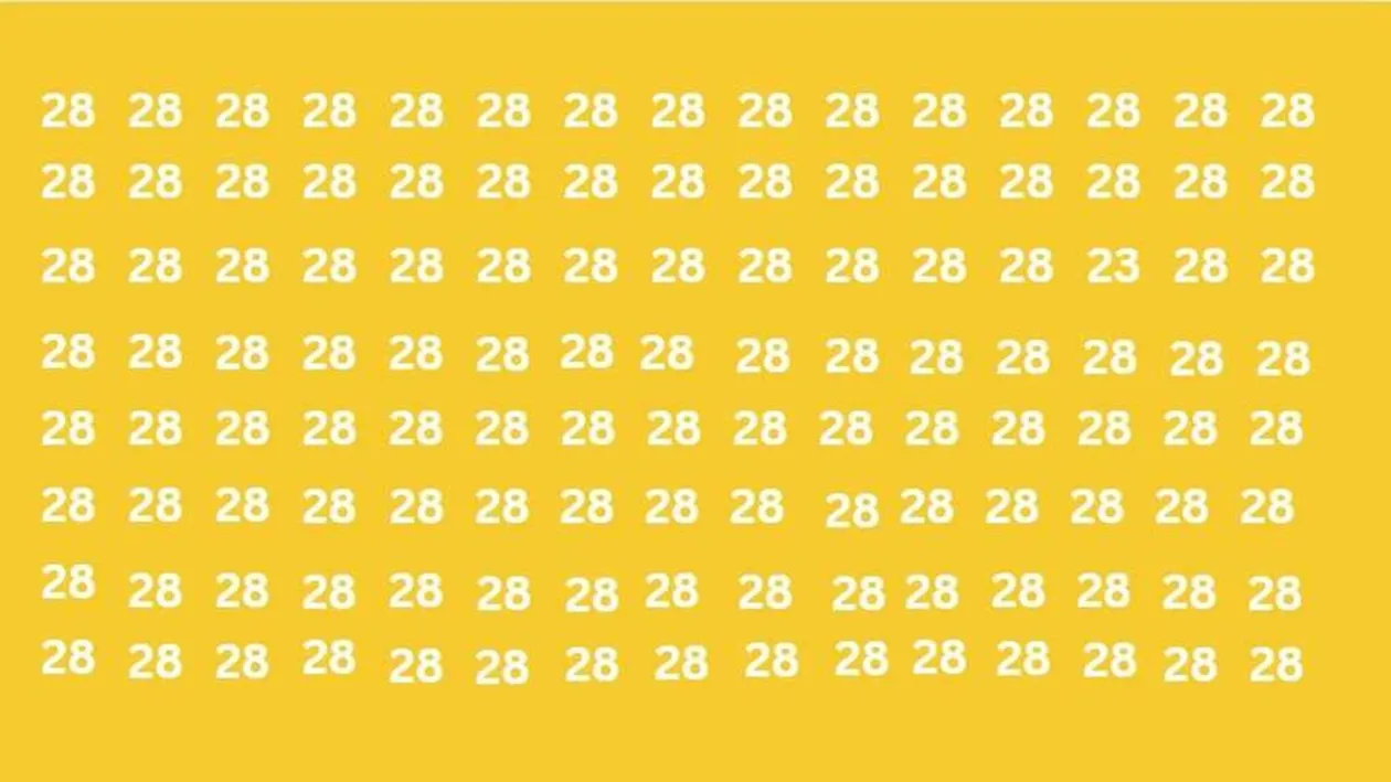 Test de logică | Găsiți numărul 23 camuflat în această imagine!