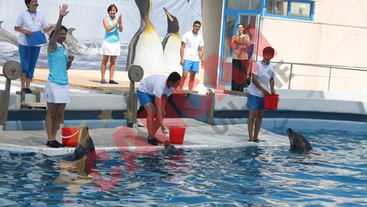 FOTO Cele trei vedete ale Delfinariului au dat prima reprezentatie cu public