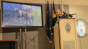 Autoritatile au gasit solutia pentru o Capitala fara caini! „Luna trecuta s-a inregistrat cel mai mic numar de muscaturi!'"