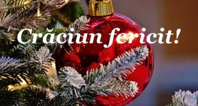 Galerie foto - poza 1