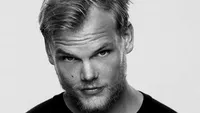 La 28 de ani, Avicii se lupta cu pancreatita acută. S-a numărat printre cel mai bine plătiți DJ din lume