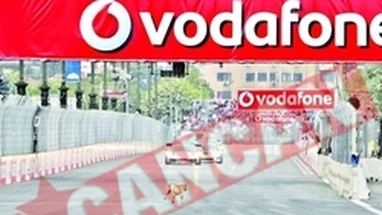 Povestea lui Tiki, maidanezul-vedeta de la Formula 3