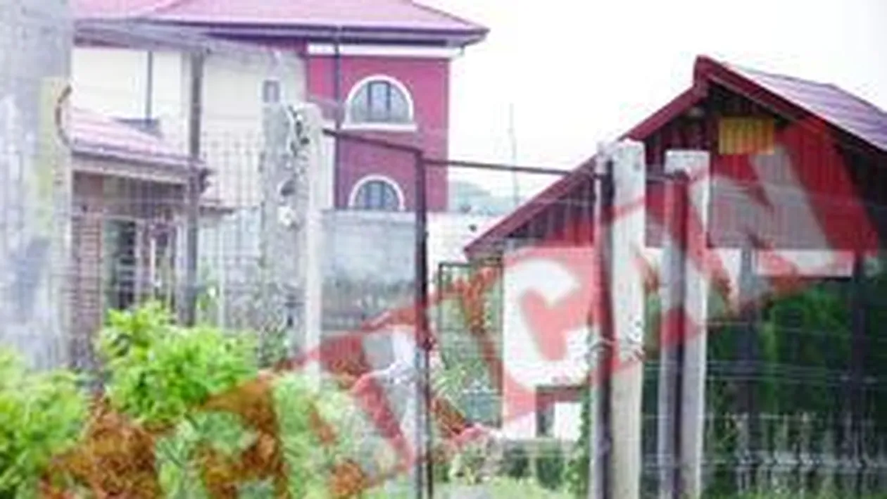 Theodor Stolojan se muta la Mogosoaia