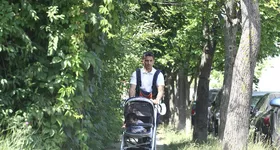 Galerie foto - poza 2