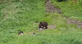 Galerie foto - poza 1