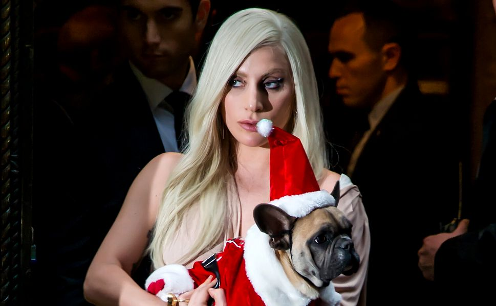 Câinii lui Lady Gaga au fost găsiți! Cine a încasat recompensa de jumătate de milion de dolari oferită de artistă