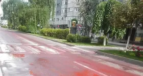 Galerie foto - poza 2