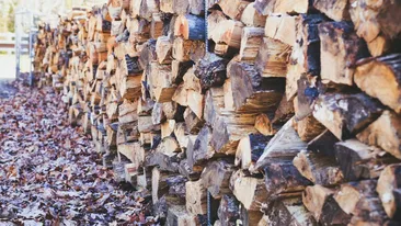 Cât costă un metru cub de lemne la jumătatea lui septembrie 2025, după creșterea TVA-ului