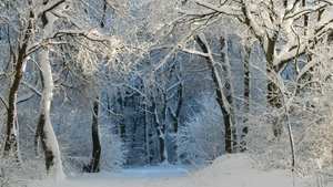 Prognoza meteo, miercuri, 17 februarie. Ziua va fi frumoasă, iar temperaturile vor crește