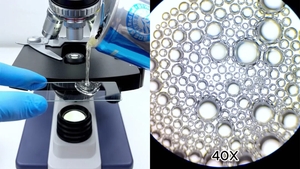 Ce conține, de fapt, o doză de energizant Red Bull. Rezultatul, la microscop, a uimit pe toată lumea