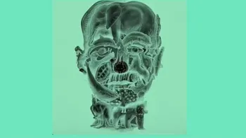 Test psihologic | Care este primul animal pe care-l vezi în această poză? Răspunsul îți va spune dacă ești o persoană toxică sau nu