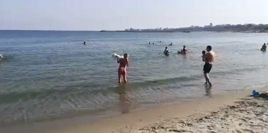 Tânără, surprinsă în timp ce-și curăța câinele de excremente în apa mării, după ce animalul și-a făcut nevoile pe plajă!