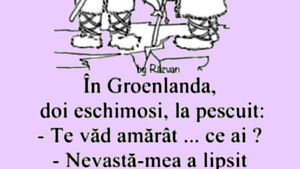 BANC | În Groenlanda, doi eschimoși discută: "Nevastă-mea a lipsit azi-noapte din iglu"