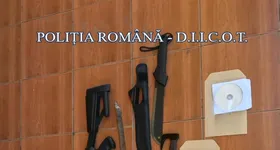 Galerie foto - poza 1