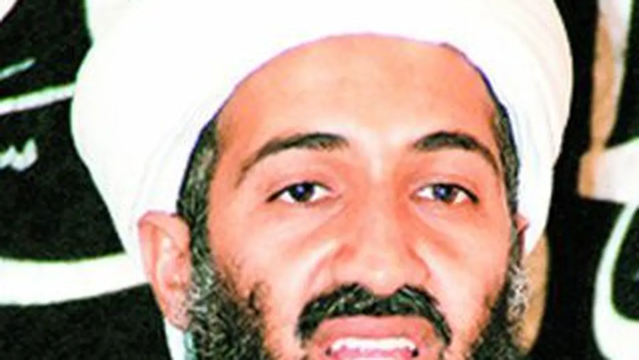 L-au incoltit cu dulai cu colti din titan