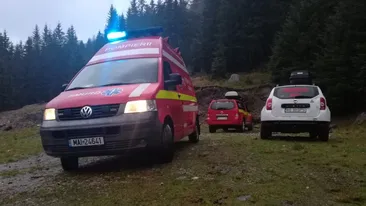 Tovarăși de stână, dușmani după un pahar de tărie. Un cioban a ajuns la spital snopit în bătaie de un alt angajat la stână VIDEO