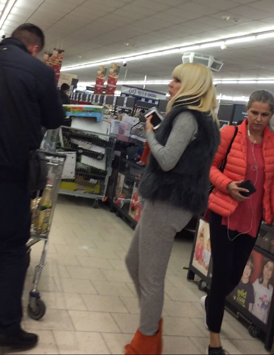 Elena Udrea şi şoferul ei s-au ocupat de aprovizionare