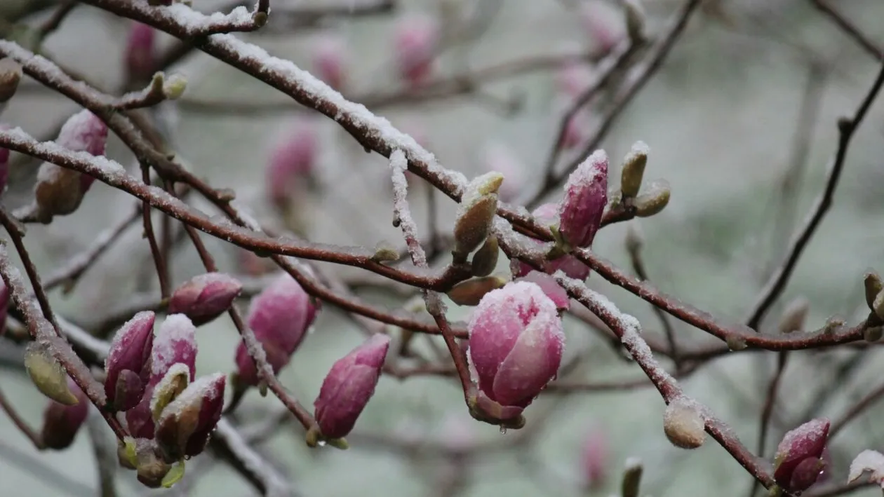 Prognoza meteo azi, 17 martie 2026. Răcire în Transilvania: temperaturi aproape de îngheț în depresiunile montane