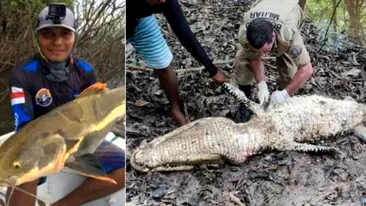 Șocant! Ireal ce au descoperit niște localnici în burta unui crocodil