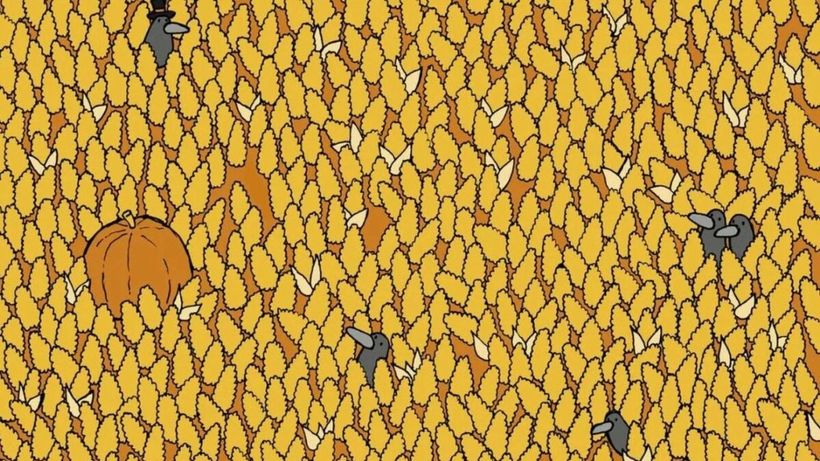 Test IQ | Numai cei cu ochi ageri văd unde se ascunde para, în doar 15 secunde!