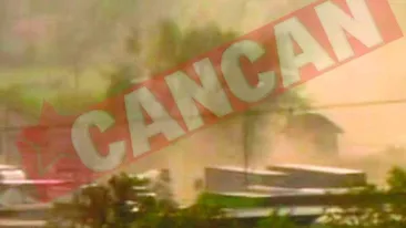 Politician ucis de o furtuna de praf