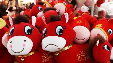 Născut dintr-o greșeală de fabricație, un „căluț trist” de pluș a ajuns simbolul stării de spirit din China