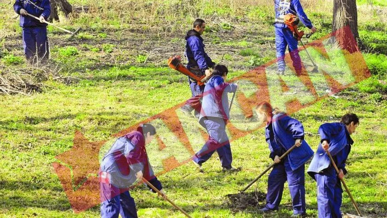 O institutie a municipalitatii taie frunze la caini de 1.000.000 euro pe an