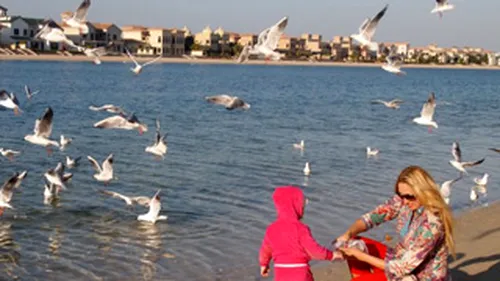 Relaxare de vedeta! Raluca Zenga hraneste pescarusii din Dubai!