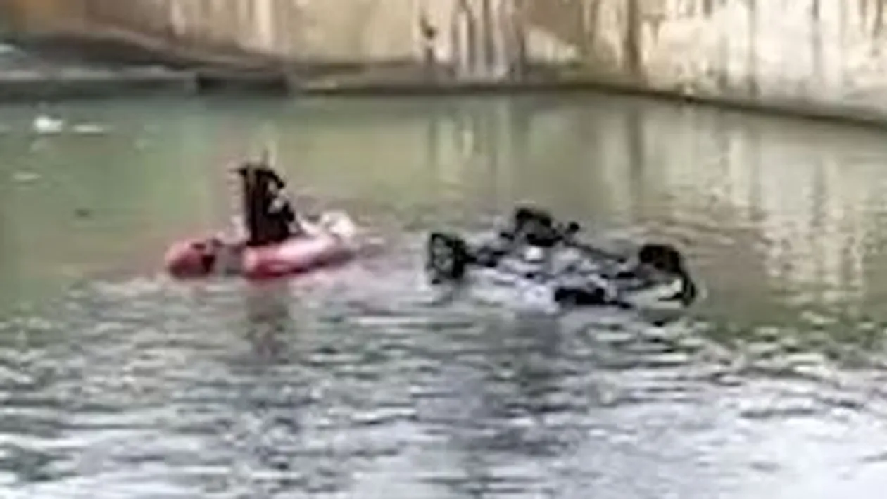 Un bărbat de 35 de ani a murit după ce a căzut cu mașina în râul Dâmbovița, de pe Podul Ciurel din București | FOTO