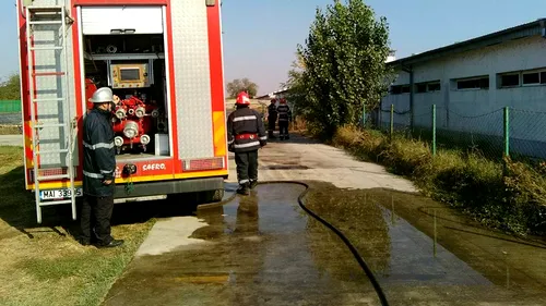 FOTO Peste 1.500 de porci au murit arşi de vii într-o crescătorie din Băileşti. Un om e în stare critică