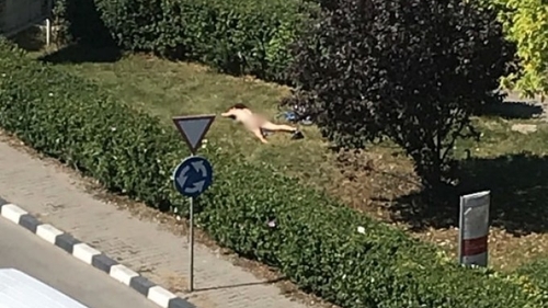 O tânără a fost amendată după ce a fost prinsă făcând plajă în fața unei instituții din Giurgiu! Jandarmeria a făcut publică imaginea