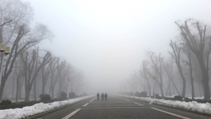 Avertizare meteo: COD GALBEN de ceaţă! Care sunt zonele afectate