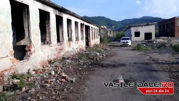 Există 10 suspecți în cazul fetiței ucise din Baia Mare, iar doi sunt principali. Unul dintre ei a fost eliberat recent din penitenciar