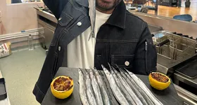 Galerie foto - poza 3