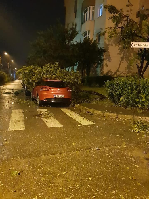 Copacii doborâți de furtună au căzut și peste mașini
