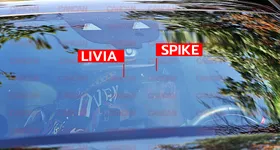 Galerie foto - poza 1