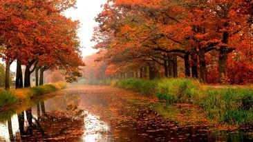 METEO 2 noiembrie.Vremea se menține caldă pentru această perioadă