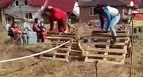 Galerie foto - poza 3