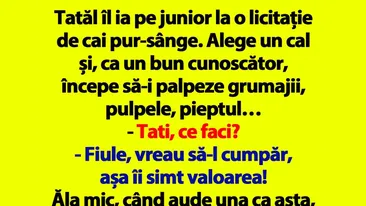 BANCUL ZILEI | Tatăl îl ia pe junior la o licitație de cai pur-sânge